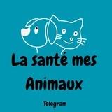 La santé mes animaux
