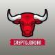 Crypto Jordan
