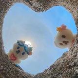 Qiyu 百货用品⭕️