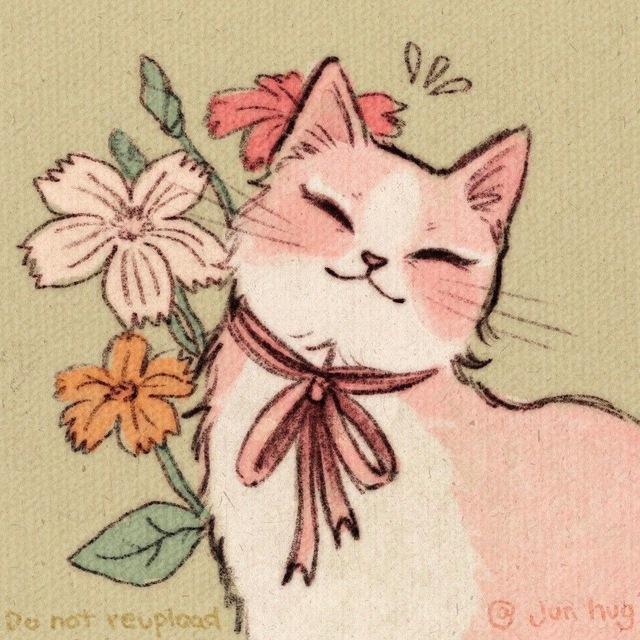 ⋆⁺مِـيمة 🎀⊹˚