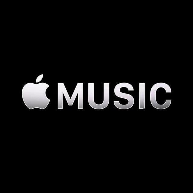 🎶MUSIC 🎶
