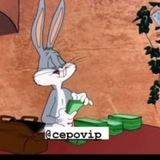 تعدين عملات مجانا 🐹