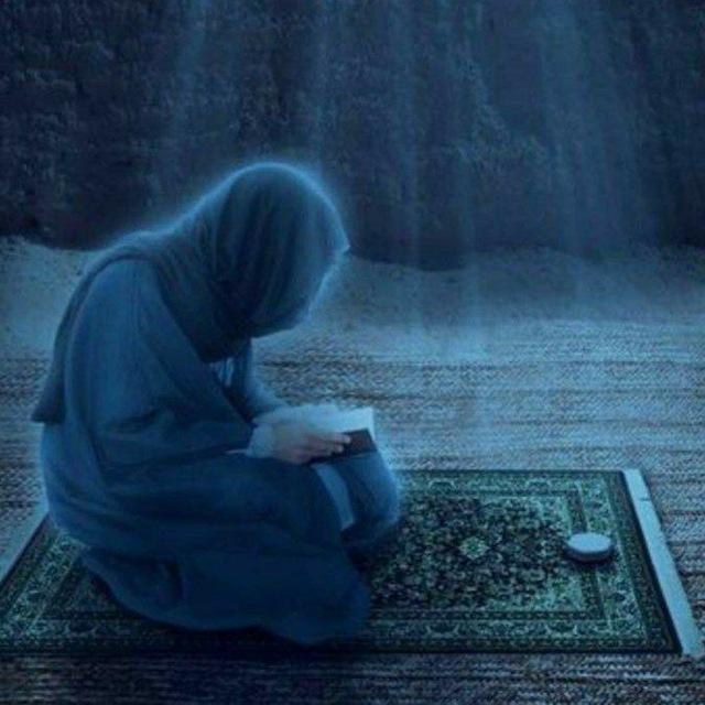 فضائح اهل السنه والجماعه📚.