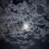 ‏وَاذْكُر رَّبَّكَ🌷