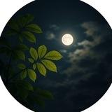 أثر