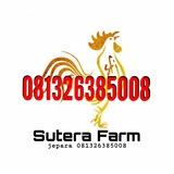 Sutera farm Jepara