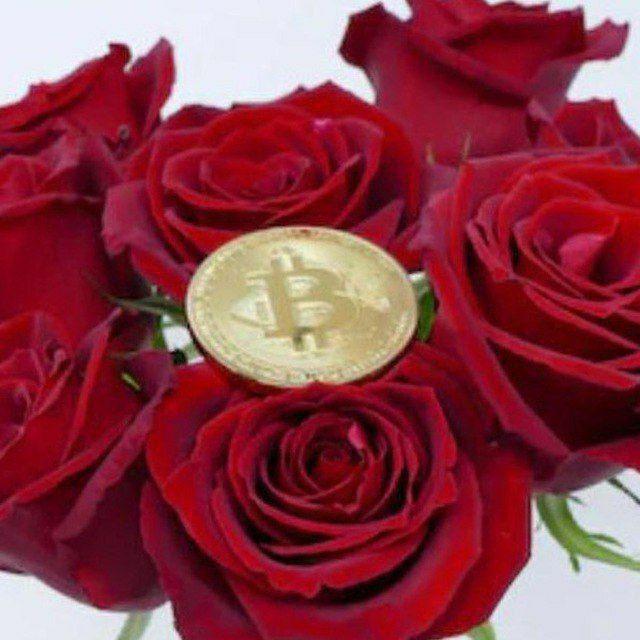Rose Crypto leaks Free