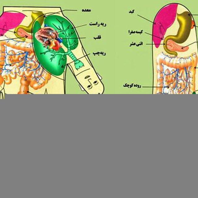 سلامتي با سوجوك