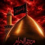 الشاعر رائد العامري للقصائد الحسينية 07702652126