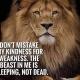 SHER TIPS🦁🦁