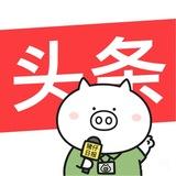 华人新闻中心｜信息分享