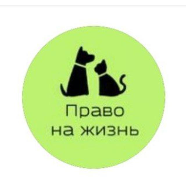 Право на жизнь. Арсеньев