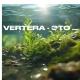 VERTERA - Это жизнь