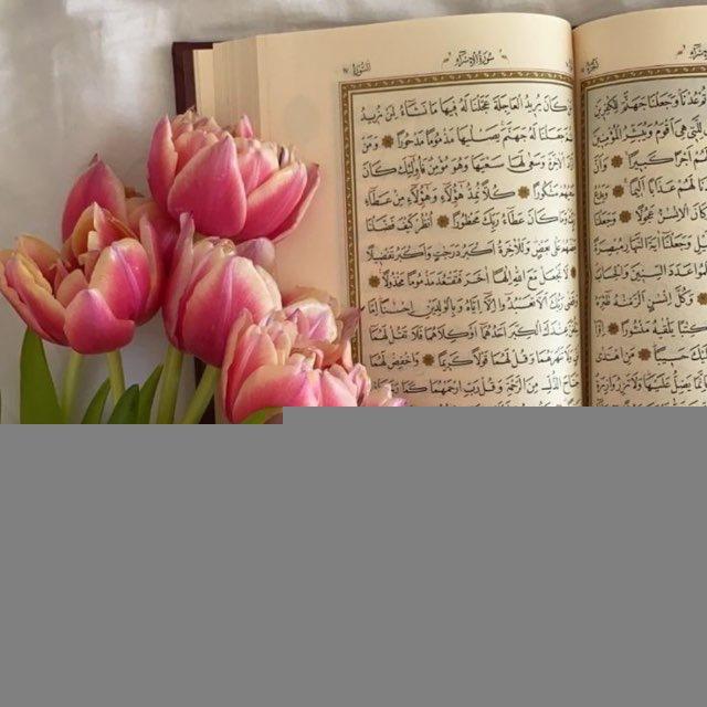 ✨🌙 مجموعة ادعية 🌙✨