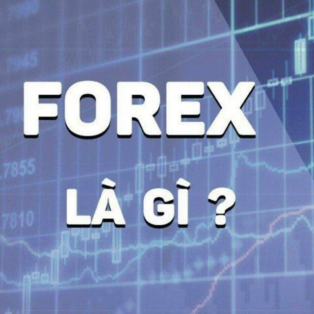 Hỗ trợ FX-GOLD-WTI