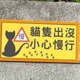 猫猫狗狗本是一家🥰