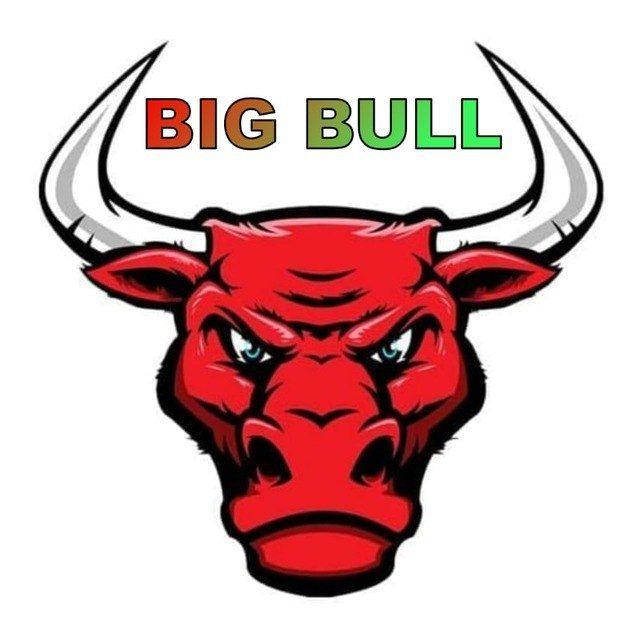 big bulls vip official