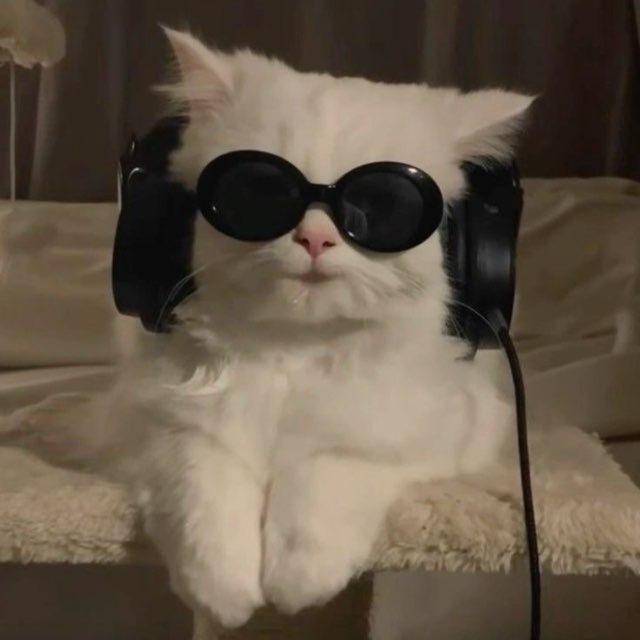 CHU MUSIC