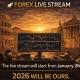 Guardeer Forex Live 2.0