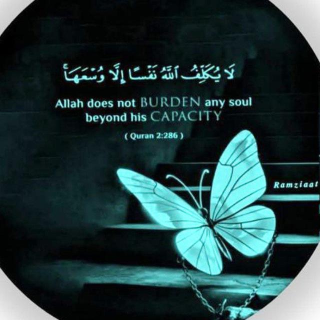 عبارات🖤تيكتوك🖤بايوات🖤 تيك توك