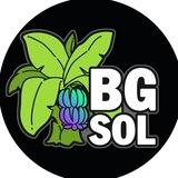 BANANA SOL Deployer