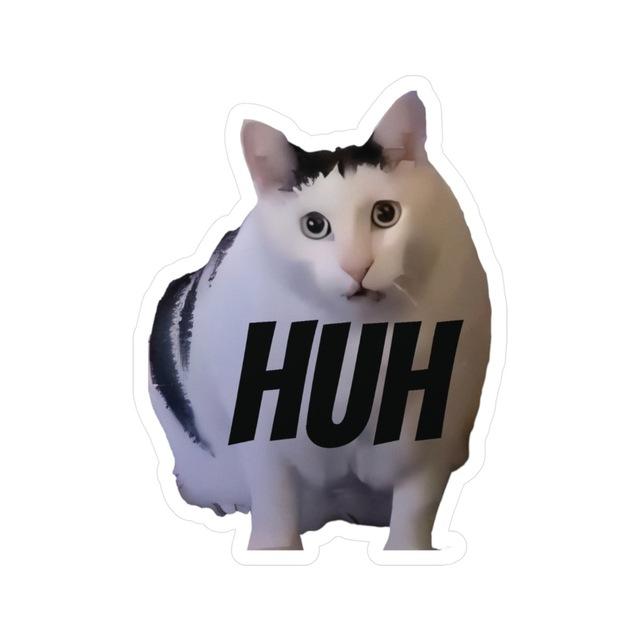 THE HUH CAT