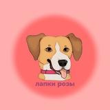 Лапки розы🫶🐾