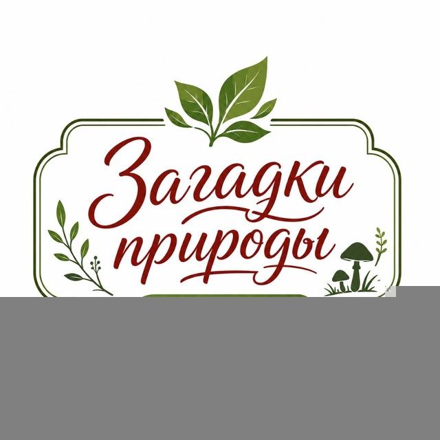 ЗАГАДКИ ПРИРОДЫ / 📩 ЧАТ/ ЕЖОВИК | КОРДИЦЕПС | ЛИСИЧКА | ЧАГА БЕРЕЗОВАЯ