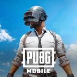 Ipad View PUBG