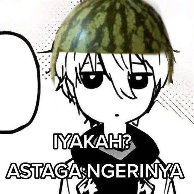 kiwiwiee tinggal kenangan