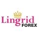 Lingrid Forex Signals