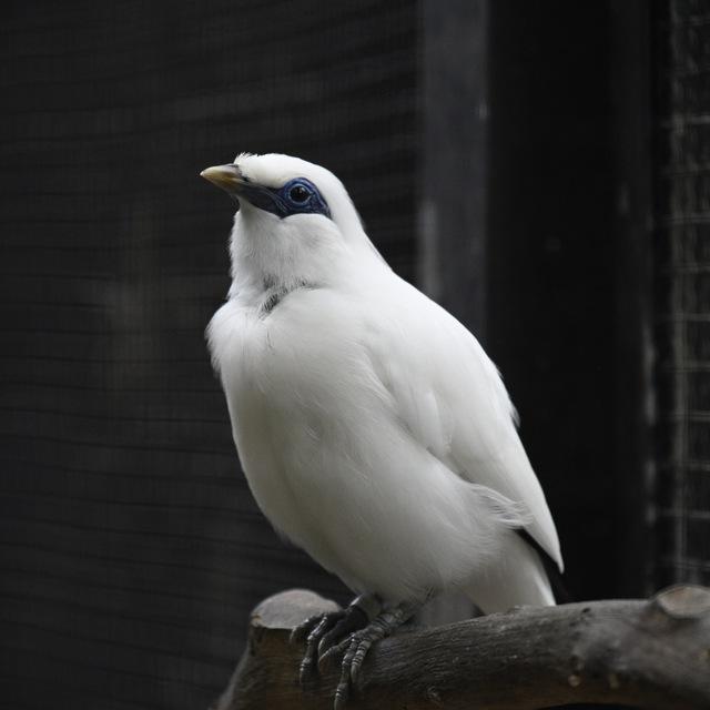 玩摄之嘉