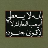 السادس العلمي