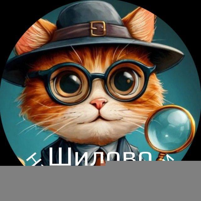 Находки и потери в Шилово (Воронеж)
