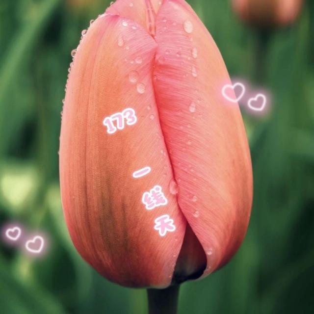 贵阳 萧萧（38 D173身高大长腿一线天）