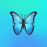 All online work with Tanzeeb
