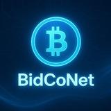 BitCoNet