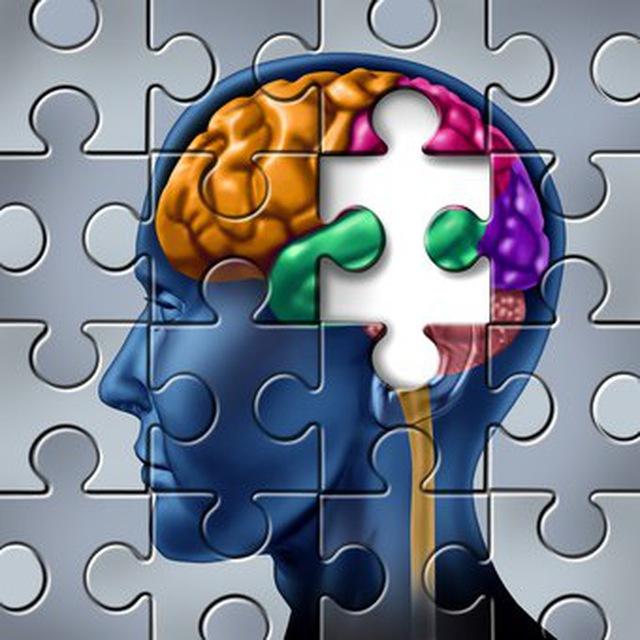 تاملات یک ذهن جستجوگر