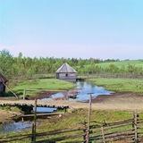 Родиноведение Низовской земли🌱