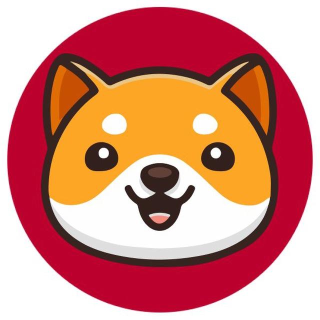 BabyDoge Japan 🇯🇵