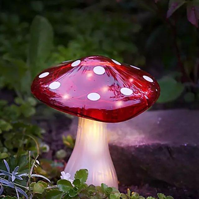 magic mushroom music