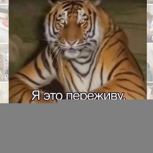 Цитатник МВШа РГСУ📚