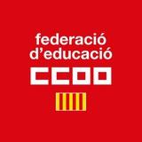 Educació Pública CCOO PV
