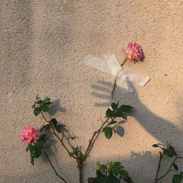 لذةة:غـغـࢪام𓃠. 