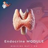 Endocrine Module | MW
