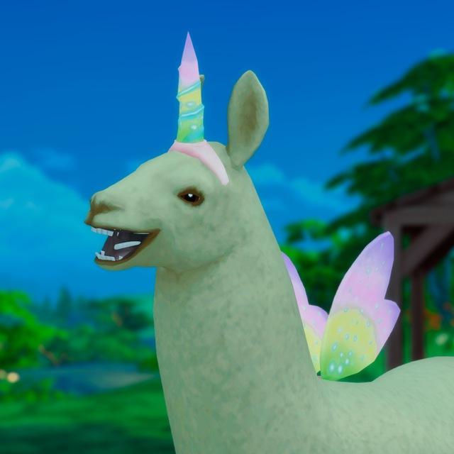 Ama_lama_criminal🦙