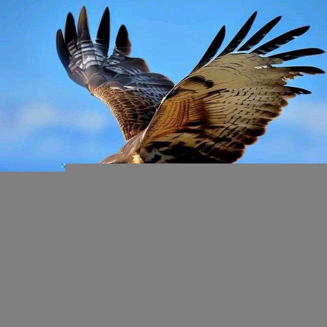 የካ ክፍለ ከተማ ት/ፅ/ቤት mereja
