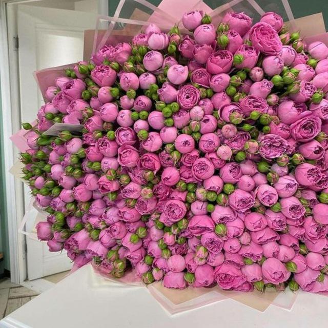𝑷𝒆𝒐𝒏𝒊