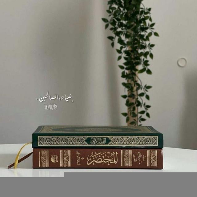 ضِياء،الصَالحيّن