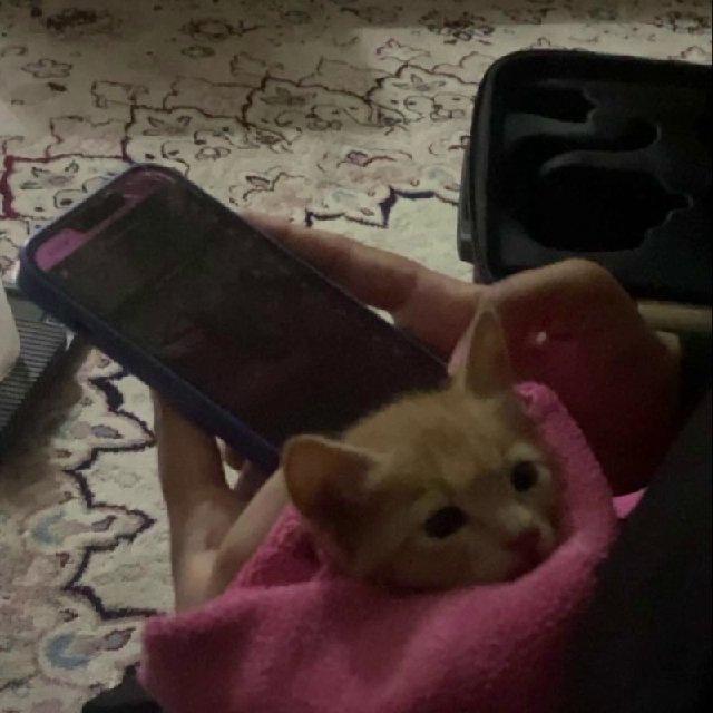 إلى أمي الثانية💞💞